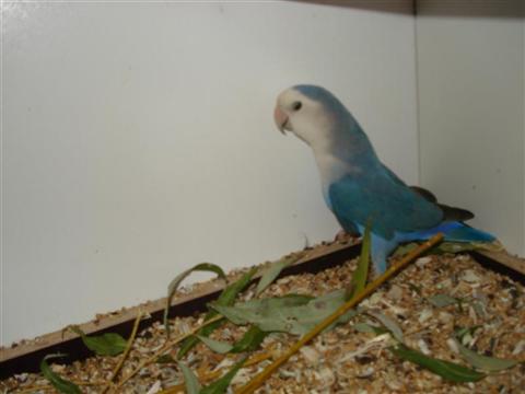 DSC02010 (Medium) (Custom).JPG