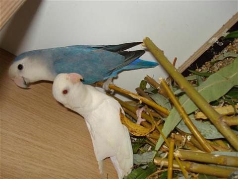 DSC02012 (Medium) (Custom).JPG