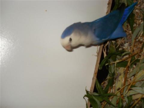 DSC02018 (Medium) (Custom).JPG