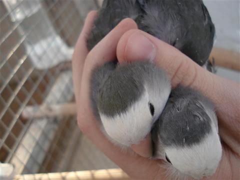 DSC02026 (Medium) (Custom).JPG