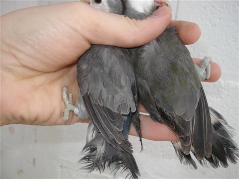 DSC02028 (Medium) (Custom).JPG