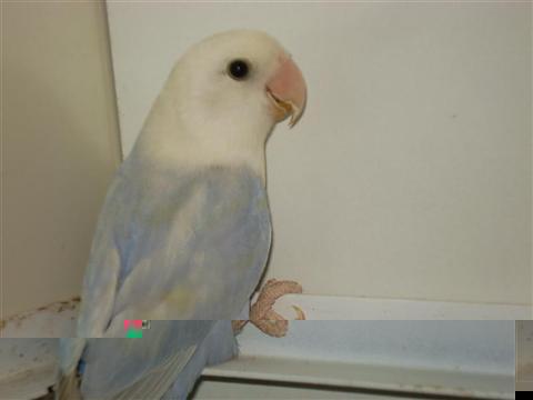 DSC02145 (Medium) (Custom).JPG