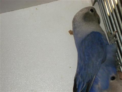 DSC02147 (Medium) (Custom).JPG