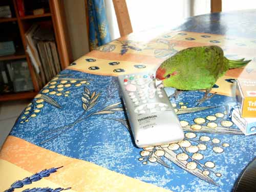 Si je changeai de chaÃ®ne !1.JPG