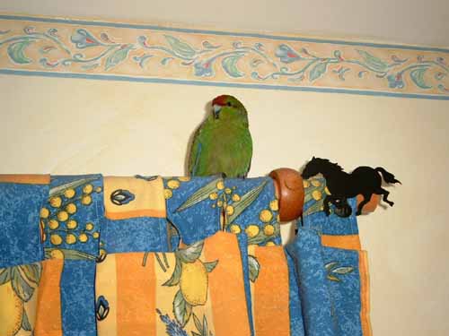 Sa place prÃ©fÃ©rÃ©e1.JPG