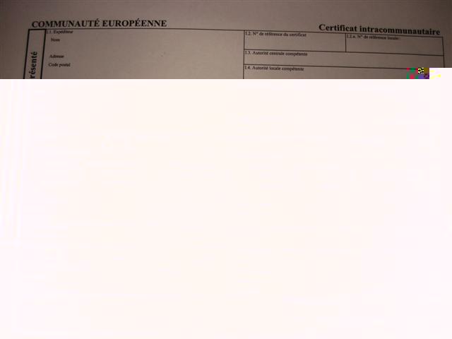 DSC02258 (Small).JPG