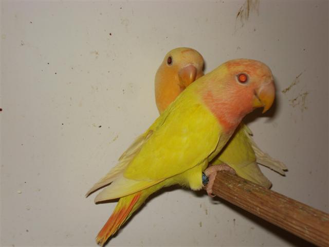 DSC02235 (Small).JPG