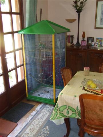 DSCF9817 (Small).JPG