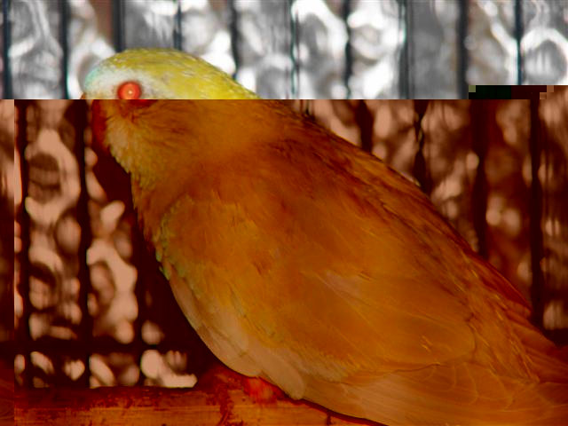 DSC00407 (Small).JPG