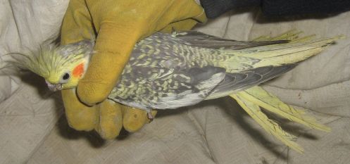 1Ã¨re vue d'ensemble.jpg