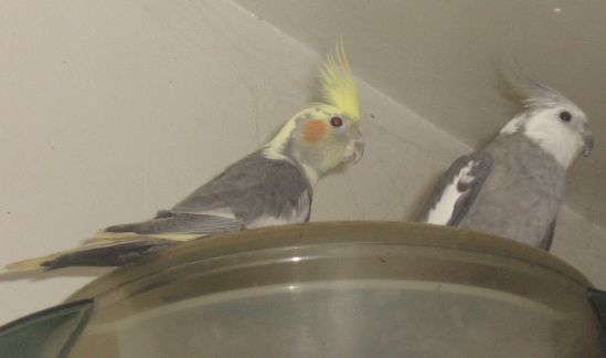 4Ã¨me et 5Ã¨me a.jpg