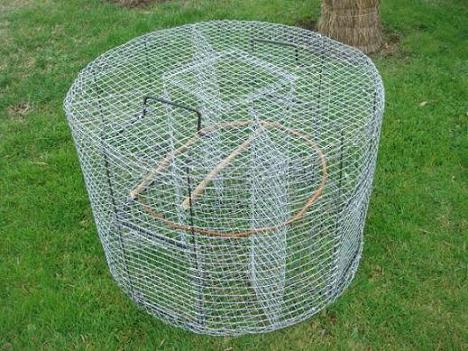 DSC04178 - Copie.JPG