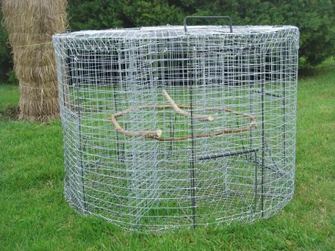 DSC04183 - Copie.JPG