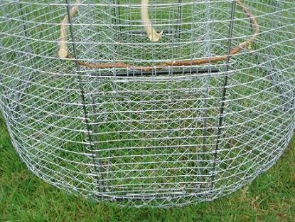 DSC04179 - Copie.JPG