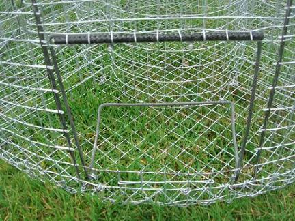 DSC04180 - Copie.JPG