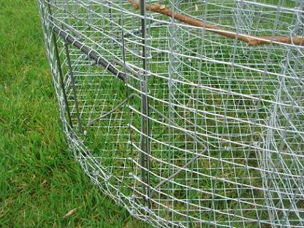 DSC04181 - Copie.JPG