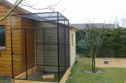 Redimensionnement de P1020206.JPG