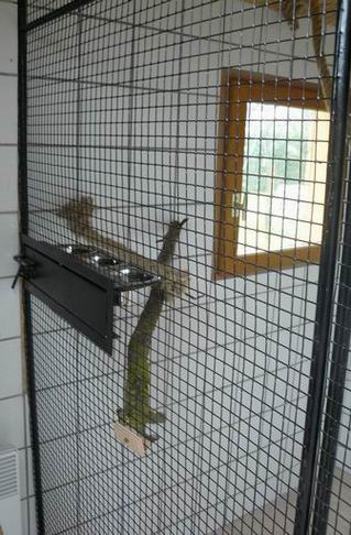 Redimensionnement de Rotation de Redimensionnement de P1020208.JPG