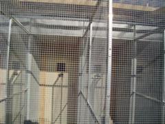 CONSTRUCTION DE MES DIX VOLIERES 080 (Small) (WinCE).JPG