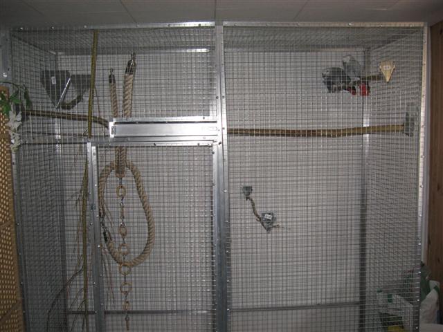 VOL NINA ET KIWI.jpg