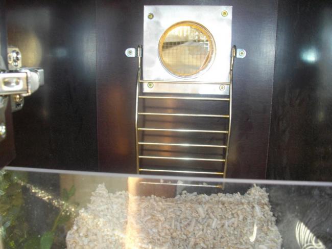 IntÃƒÂ©rieur nid porte ouverte.jpg