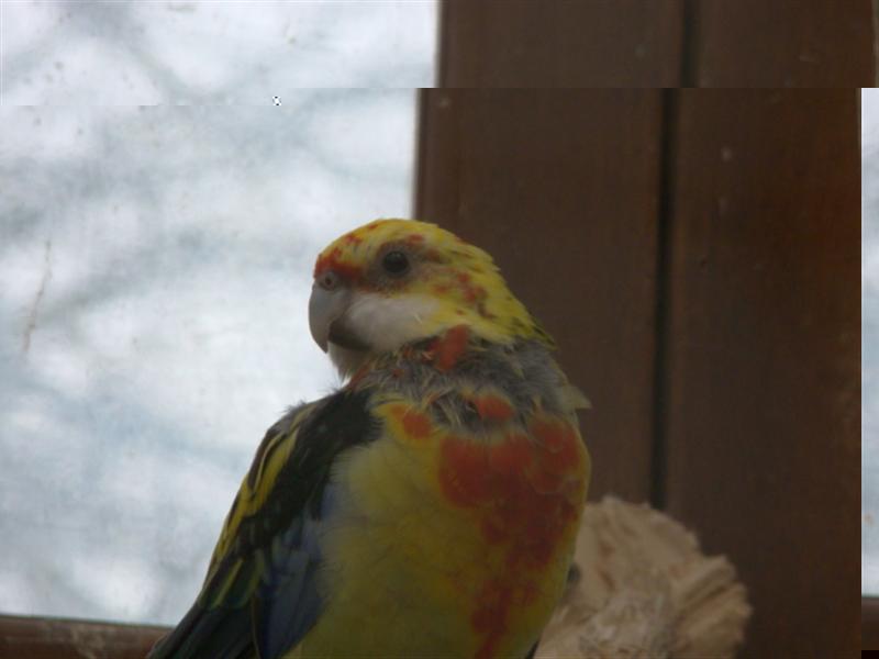 DSC00230 (Medium).JPG