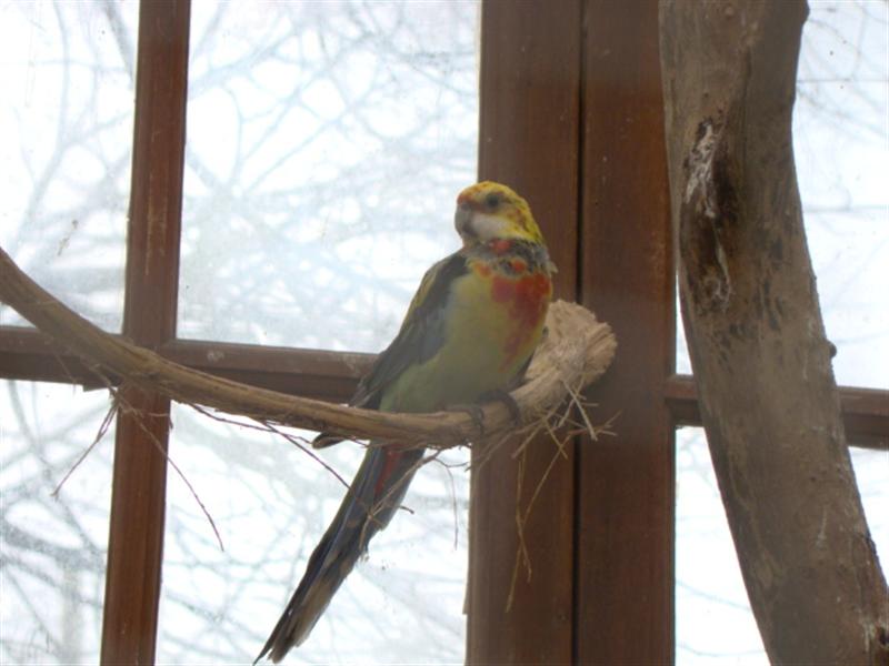 DSC00227 (Medium).JPG