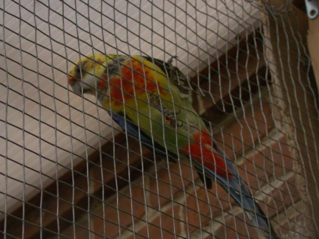 DSC00299 (Small).JPG