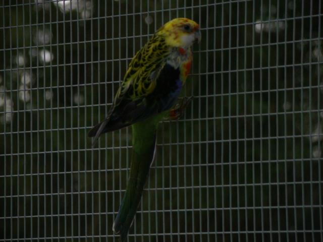 DSC00306 (Small).JPG