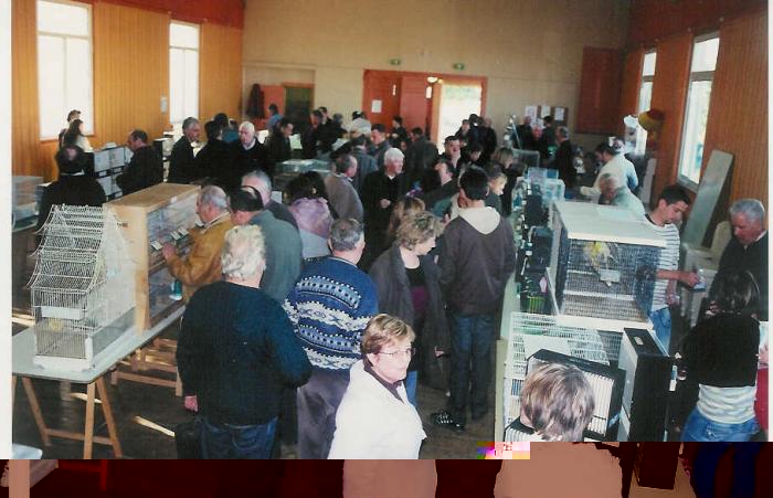 Bourse aux oiseaux 1.jpg