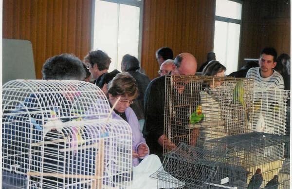 Bourse aux Oiseaux 2.jpg