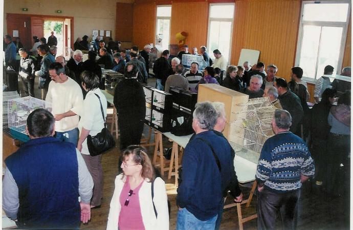 Bourse aux Oiseaux 3.jpg