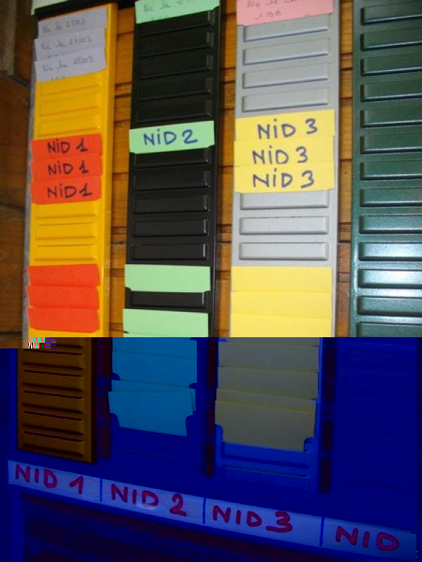 tableau gestion de repro_1.jpg