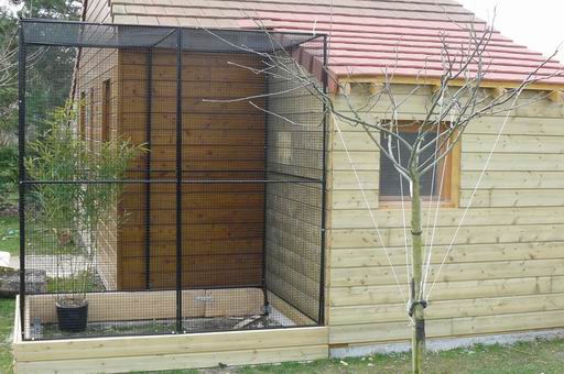 Redimensionnement de P1020222.JPG