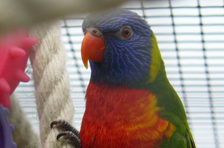 Redimensionnement de P1020262.JPG