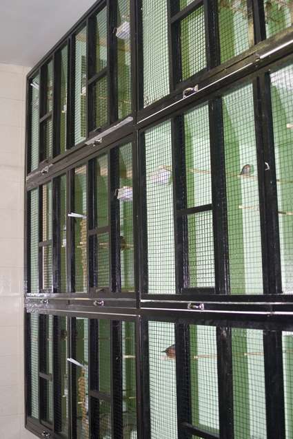 batries 1 lÃ©ger.jpg