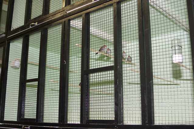 batries 2 lÃ©ger.jpg