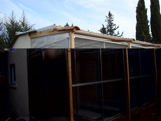 CONSTRUCTION DE MES DIX VOLIERES 097 (Small).JPG