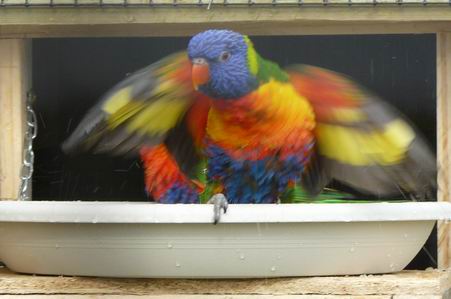 Redimensionnement de P1020252.JPG