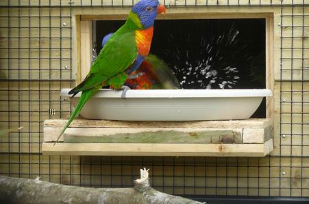 Redimensionnement de P1020249.JPG