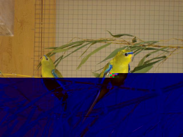 DSC00298 (Small).JPG