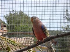 DSC00299 (Small) (WinCE).JPG