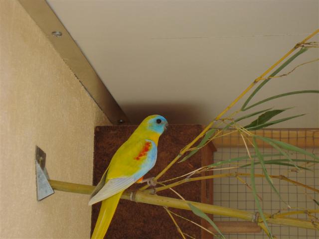 DSC00300 (Small).JPG