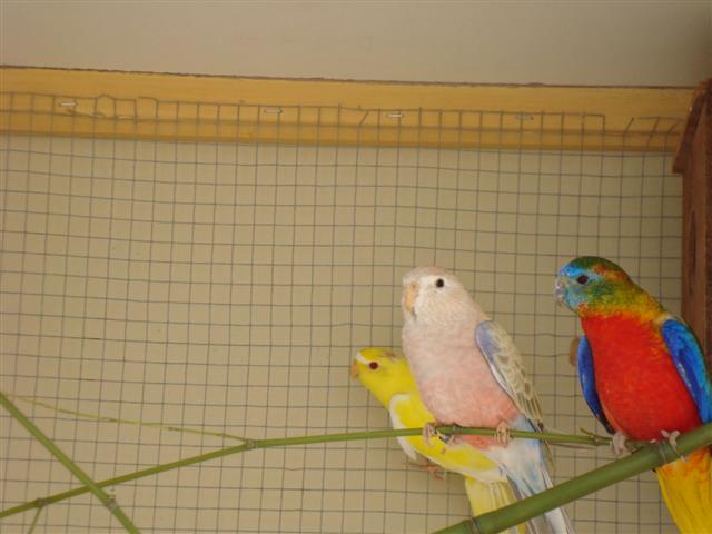 DSC00305 (Small).JPG