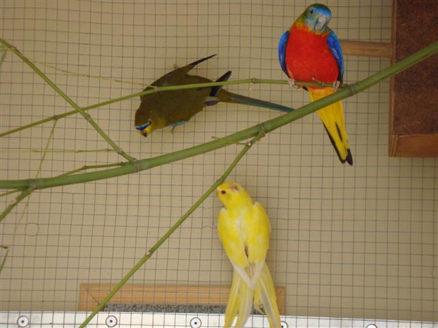 DSC00304 (Small).JPG