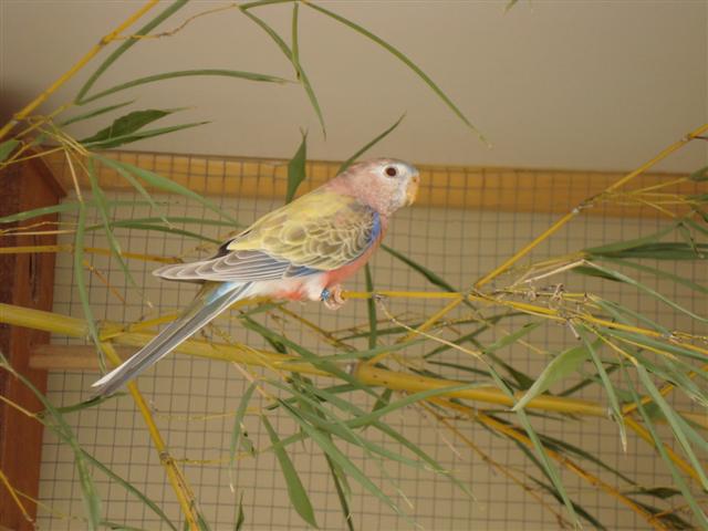 DSC00302 (Small).JPG