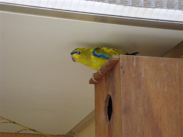 DSC00297 (Small).JPG