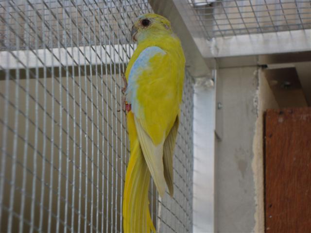 DSC00307 (Small).JPG