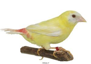 Copie de Copie de Photo 018 petit format.jpg