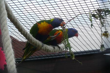 Redimensionnement de P1020346.JPG